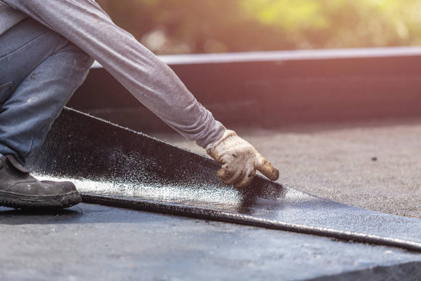 Professional Interior Drainage System technician working in Williamson, NY